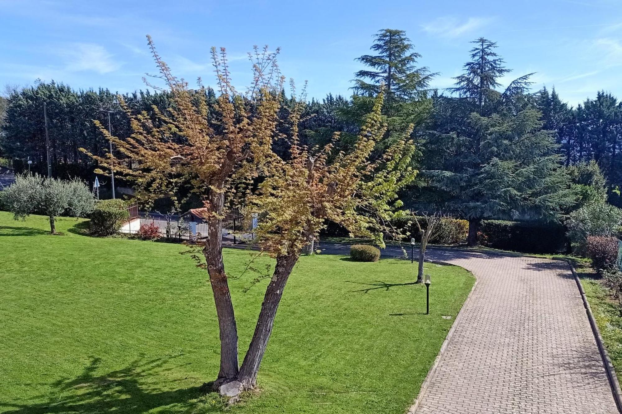 Casa Del Carmine Villa Anghiari Bagian luar foto